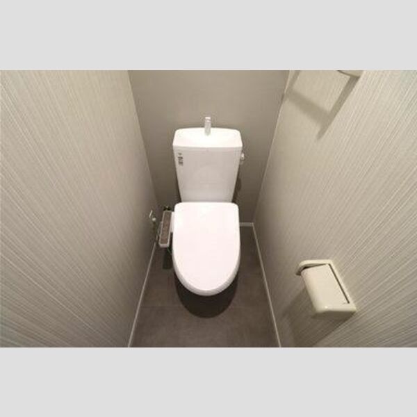 Skey residence塚越(スカイエレジデンスツカゴシ)201号室 トイレ