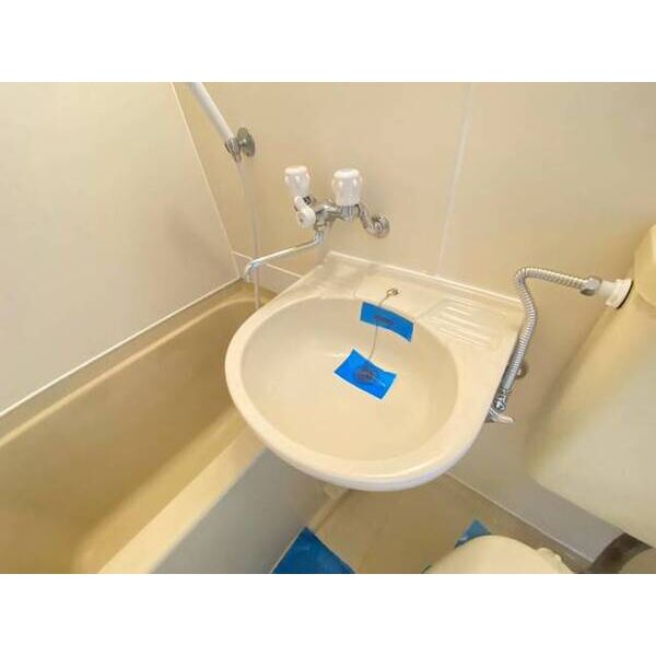 キャッスルマンション川越A棟0503号室 洗面