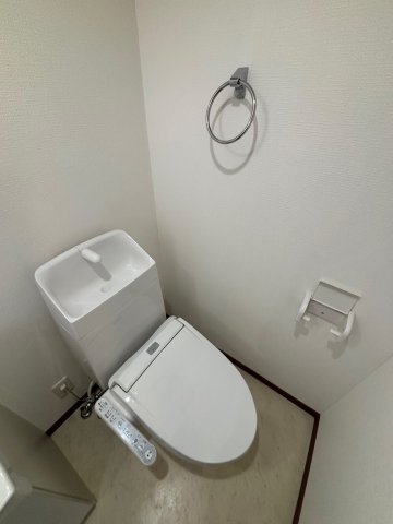 ディオニソス トイレ