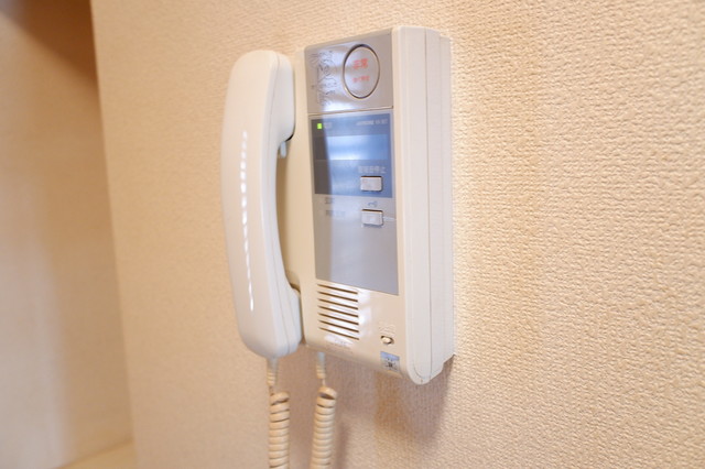 フィエスタ祐天寺0106号室 セキュリティ