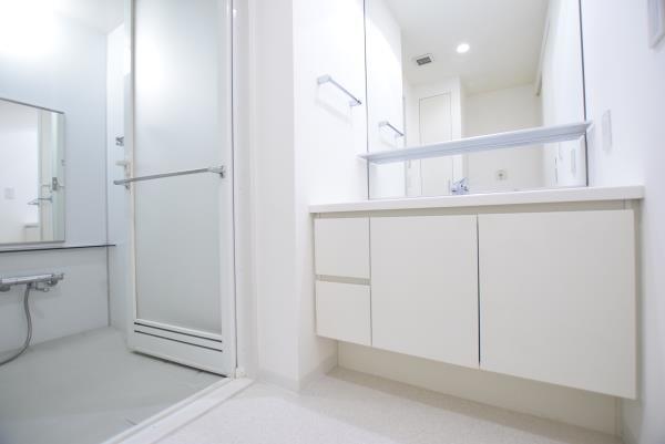 Ｂｒｉｌｌｉａ　ｉｓｔ　東雲キャナルコート5階 洗面