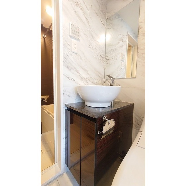 アムス早稲田（旧La Blancheur 早稲田）0403号室 洗面台