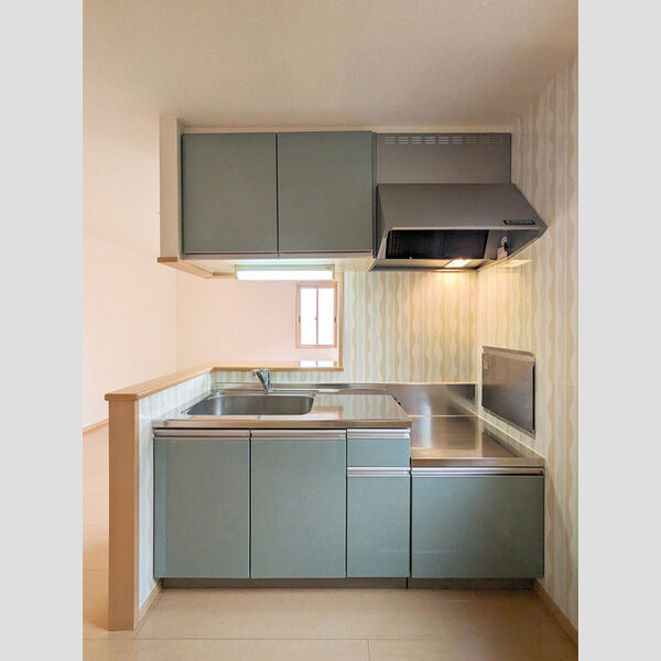 ルインズ・イン・マルヤマ　ABCDEFE103号室 キッチン