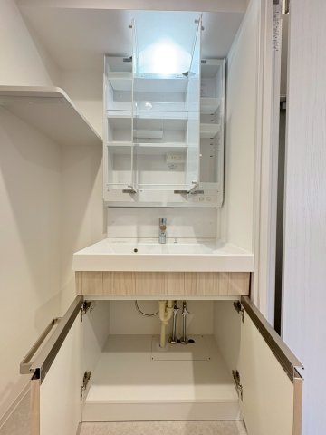 DIPS竹ノ塚駅前803号室 洗面