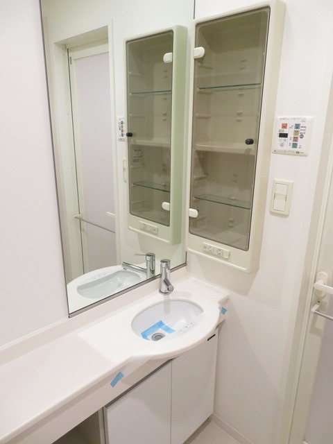 エコロジー東陽町プロセンチュリー 洗面