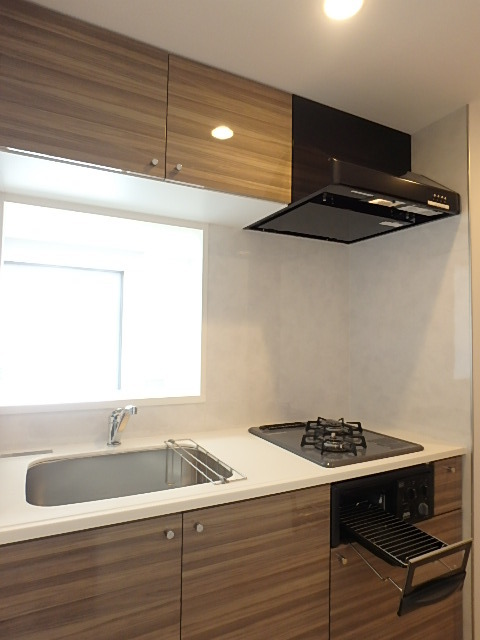 ガーラ・ヴィスタ練馬 ２口コンロ(グリル付)