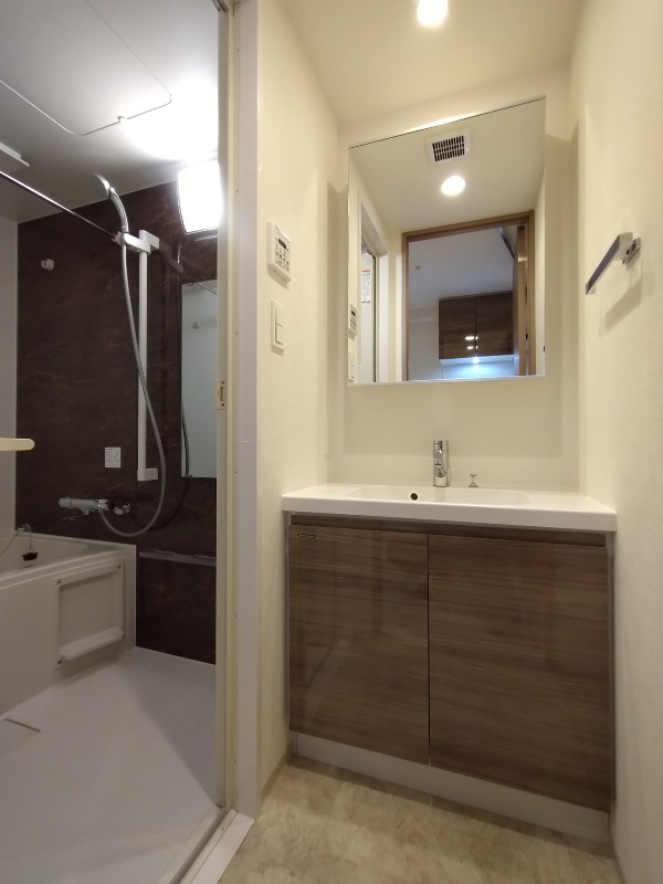 クレイシア赤羽10階 洗面