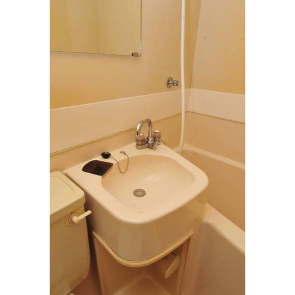 メゾン・ド・原宿0202号室 洗面