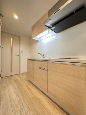 リブリ・川崎Ⅱ1階 部屋その他