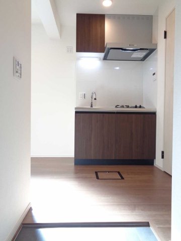 アパートメントＴＳ０２101号室 玄関