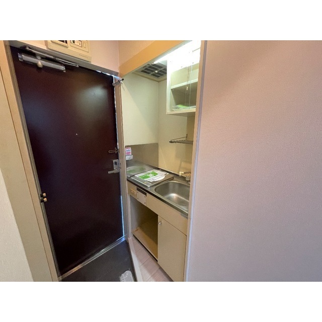 ネルソンパートⅤ206号室 玄関