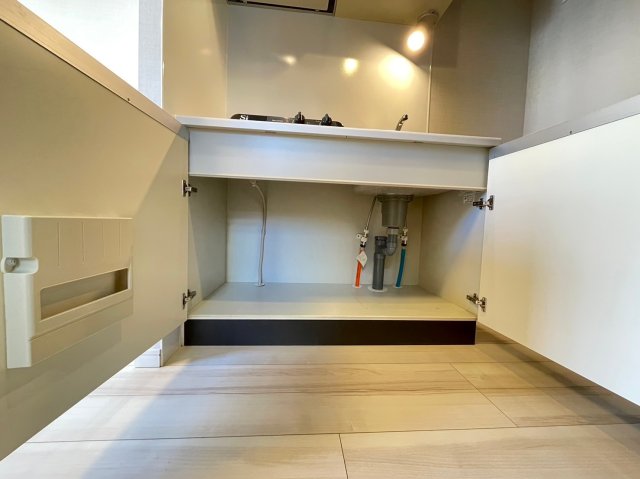 DIPS桜台駅前306号室 エントランス