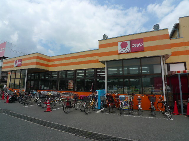 利右衛門壱番館0203号室 マルヤ西船橋店