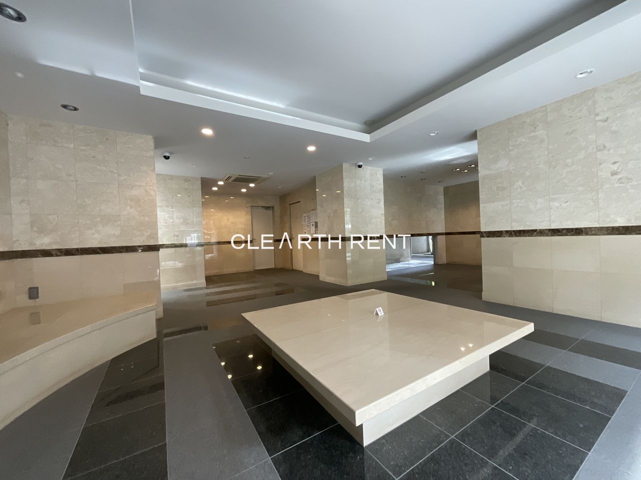 パレステュディオ南麻布9階 高級感のあるエントランス