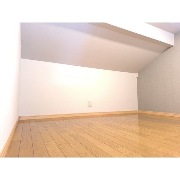 ハイマート湘南202号室 ロフト