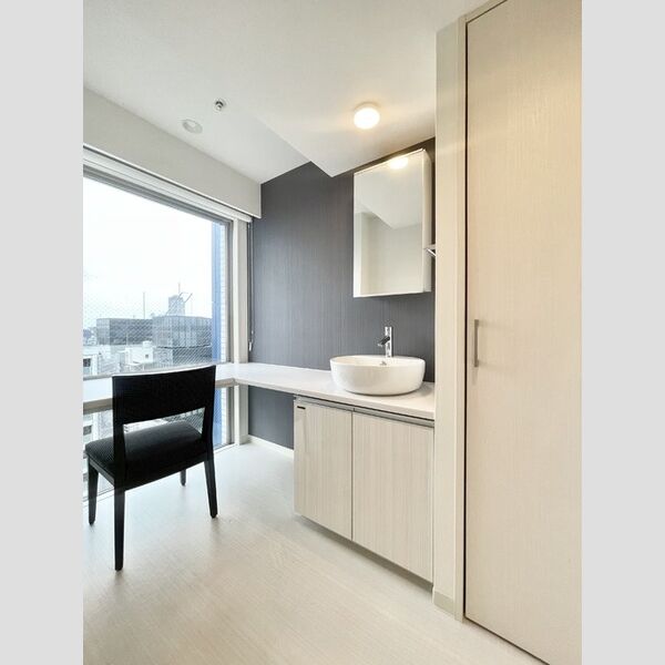 ロイジェントパークス四ツ谷901号室 洗面所