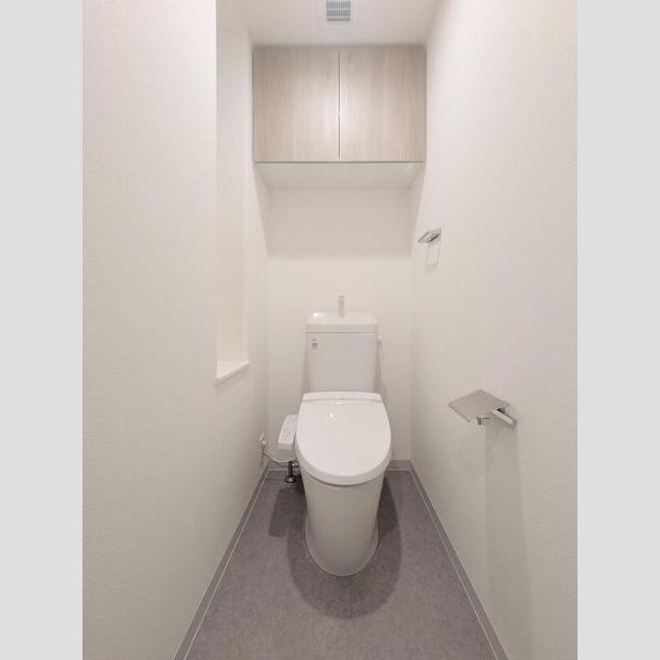 S-RESIDENCE東浦和agua106号室 トイレ