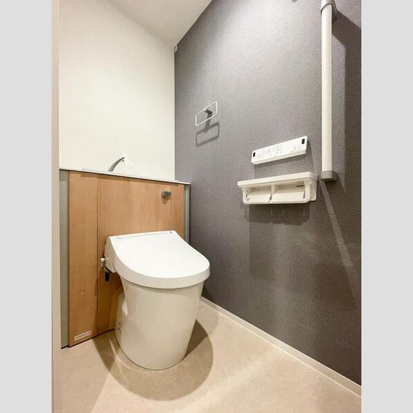 S-RESIDENCE富士見ヶ丘afford302号室 トイレ