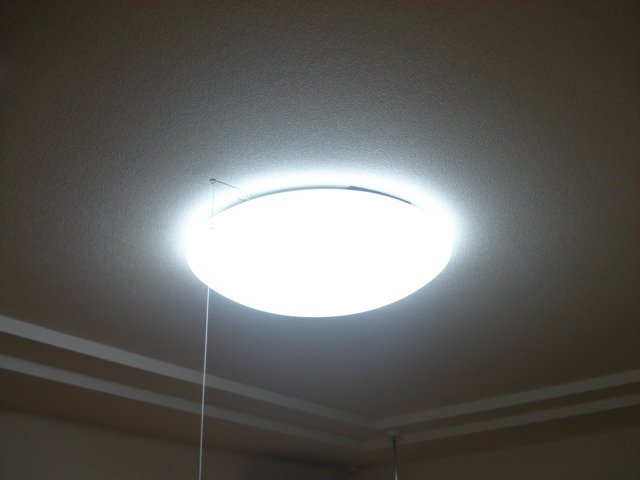サン・グレース半田301号室 照明