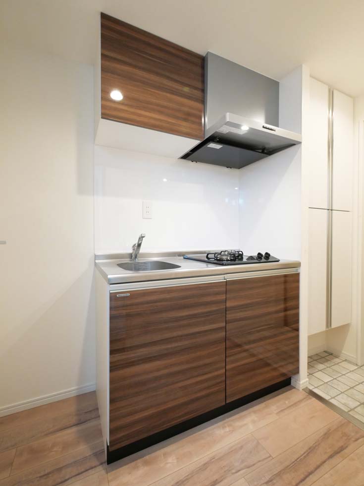 ラフィスタ亀有Ⅱ4階 同建物別部屋の参考画像