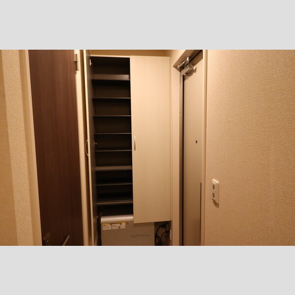 メゾン真砂201号室 玄関・シューズボックス(トールタイプ・