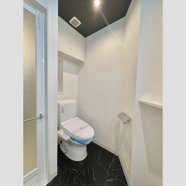 ロイジェントパークス四ツ谷905号室 トイレ