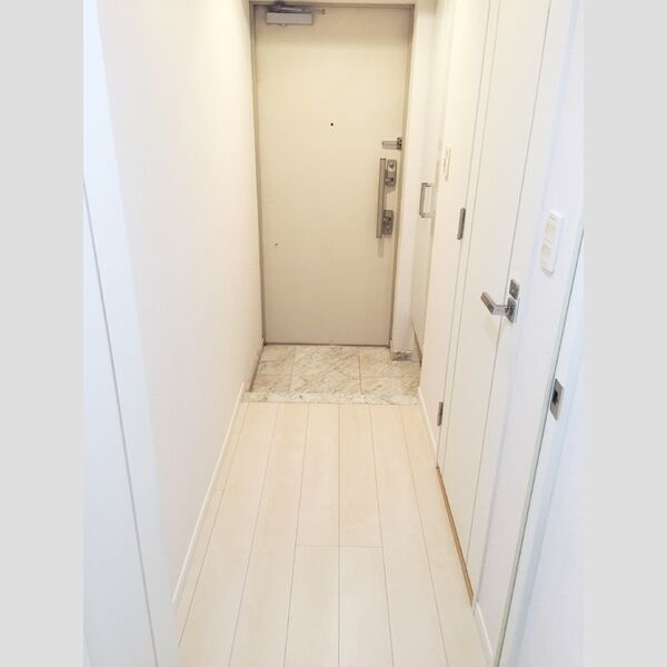 カスタリア南麻布 玄関