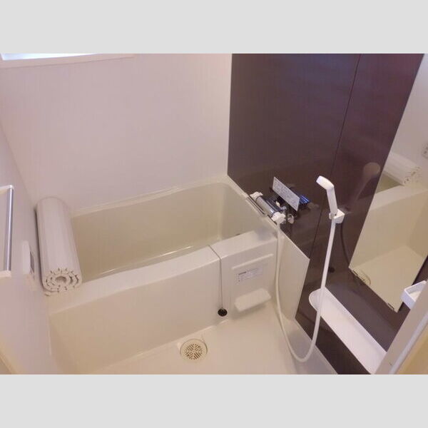 フォルトゥナート バス