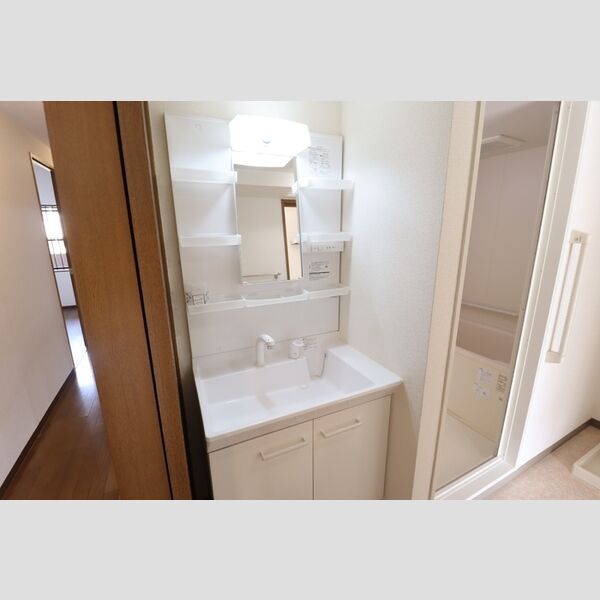 ルーチェ緑が丘　B208号室 洗髪洗面化粧台