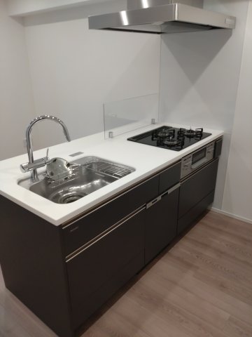 SYFORME ITABASHI Ⅲ602号室 ※同タイプ参考写真です（natural）