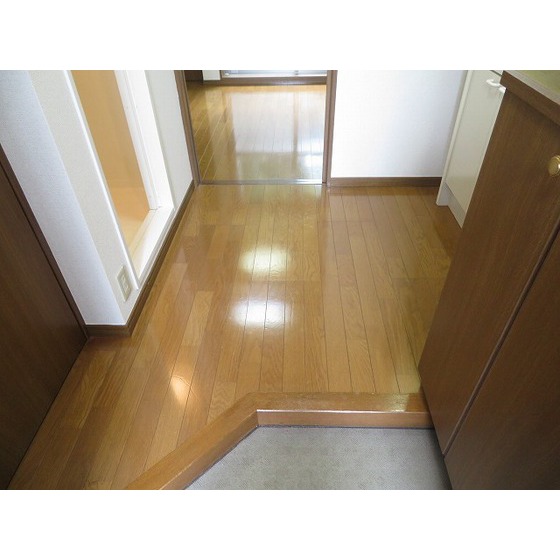 アヴェニール高井戸0205号室 玄関