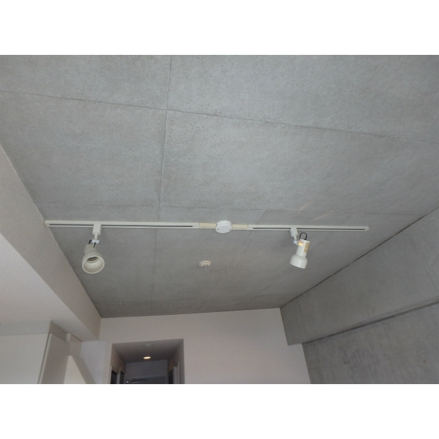 ショアーズ鵠沼フラット209号室 内観