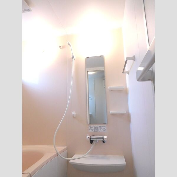 フィオーレ/ルミエール　フィオーレ201号室 お風呂