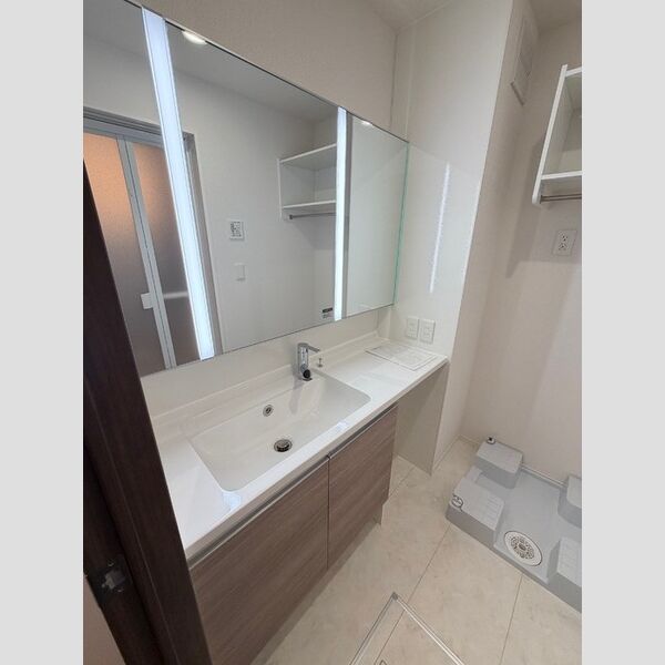 シンビジウム湘南台302号室 洗面所