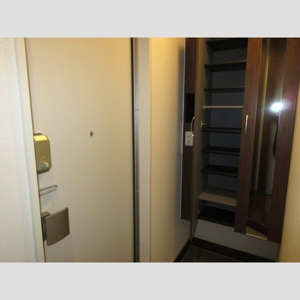 アナシエ徳丸 シューズボックス