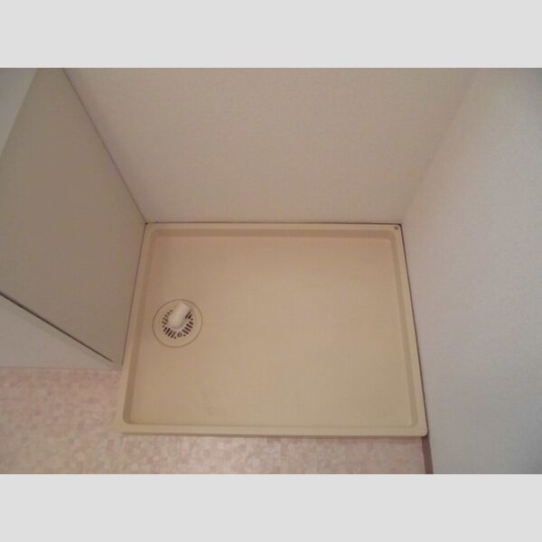 カネダイハウス3102号室 室内洗濯機置場