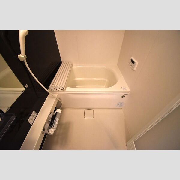 Dフルト並木町202号室 浴室