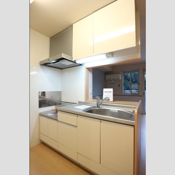 メゾンリッシュ　C101号室 対面キッチン