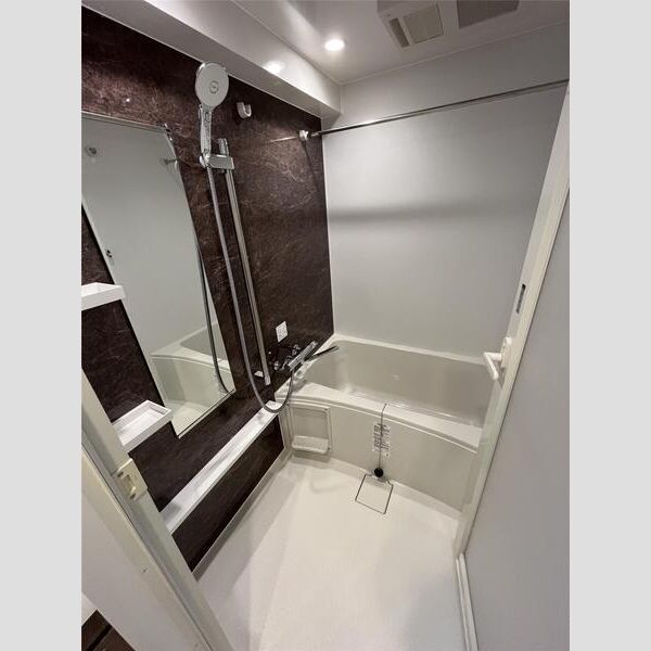 S-RESIDENCE両国serea202号室 お風呂