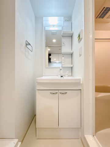 スカイコートリュクス品川大崎204号室 洗面