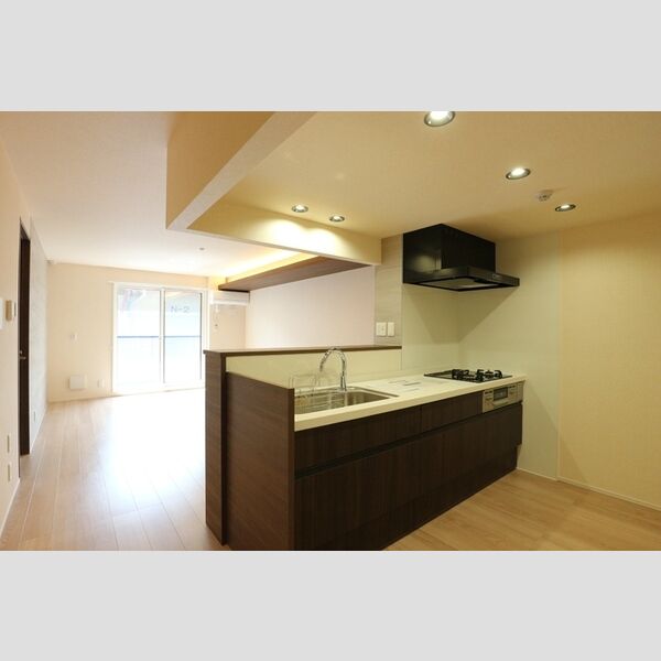 ローテ　ベルク205号室 システムキッチン