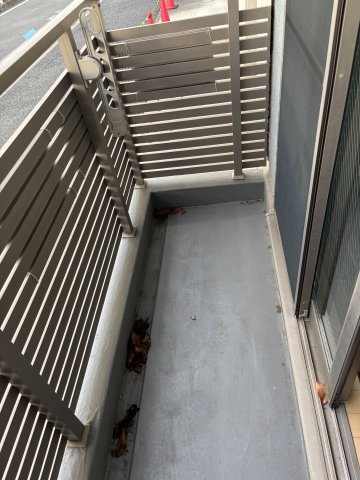 ブルーシャトー0102号室 バルコニー