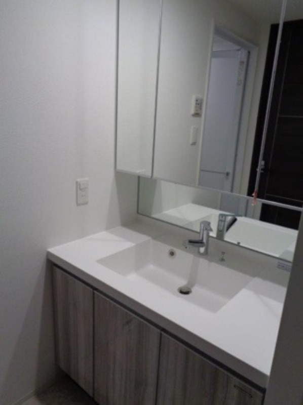 ジェノヴィア墨田八広スカイガーデン3階 洗面