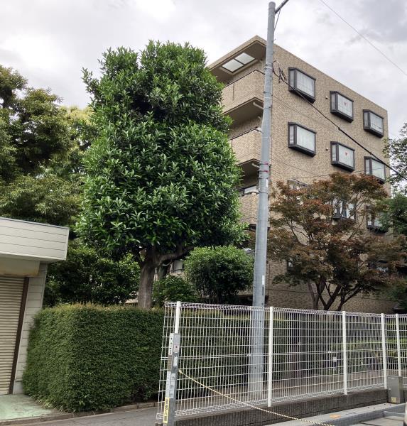 サンストリーム2階 外観