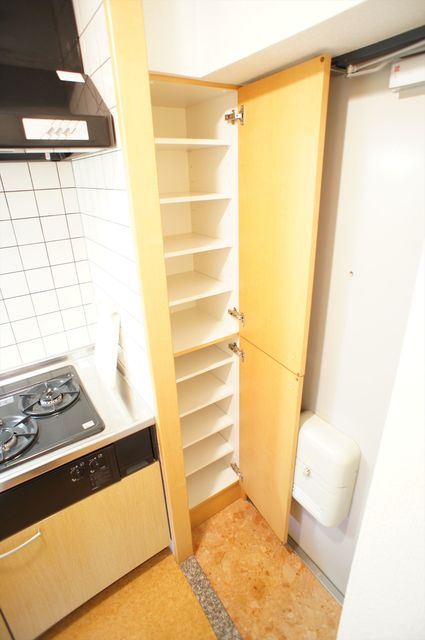 マリンパレス登戸0305号室 シューズボックス