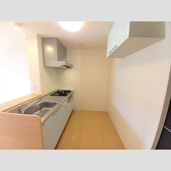 ロイヤルパレス　Ⅱ番館 システムキッチン