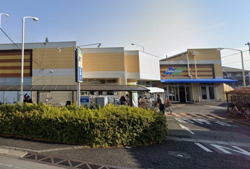 メゾンクレール 【スーパー】FOODS MARKET Selection松戸店まで160ｍ