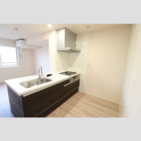 シェーンブルーメ横浜303号室 キッチン