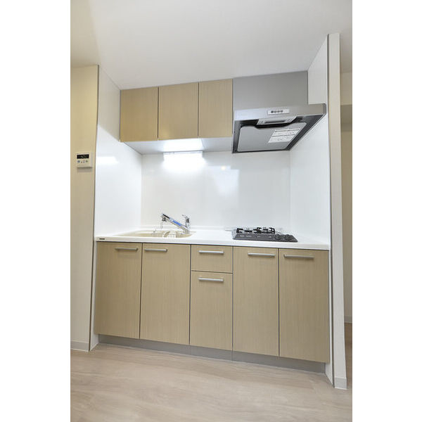 クリオ　ラモード学芸大学Ⅱ0404号室 キッチン