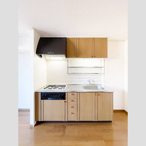 ピアエスポワール203号室 グリル付きシステムキッチン